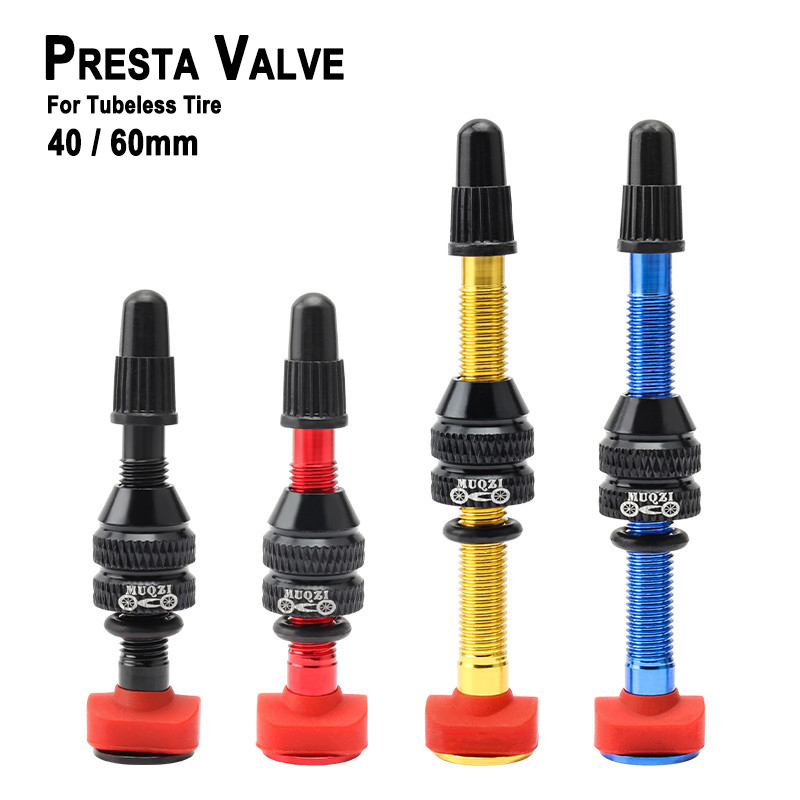 MTB Mountainbike Presta Ventie - Mountain Biking In French recensie en prijs